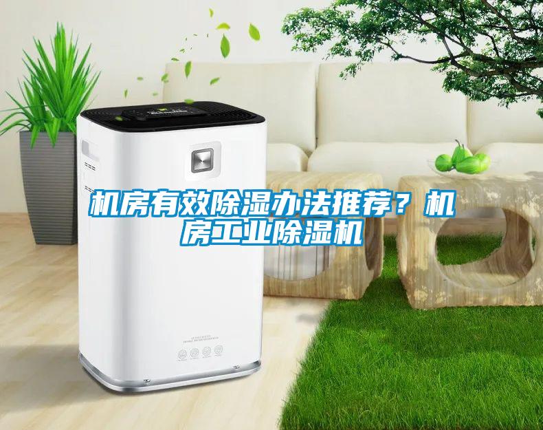 機房有效除濕辦法推薦？機房工業除濕機