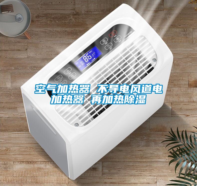 空氣加熱器 不導(dǎo)電風道電加熱器 再加熱除濕