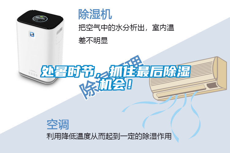 處暑時(shí)節(jié),抓住最后除濕機(jī)會(huì)!