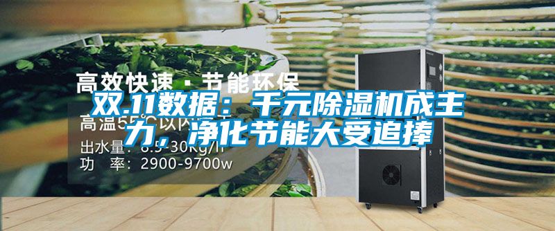 雙.11數據：千元除濕機成主力，凈化節能大受追捧