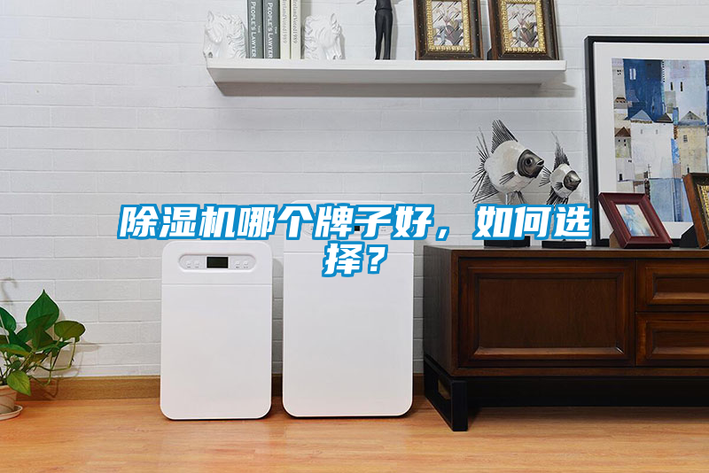 除濕機(jī)哪個(gè)牌子好，如何選擇？