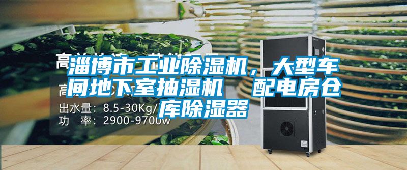 淄博市工業除濕機，大型車間地下室抽濕機  配電房倉庫除濕器