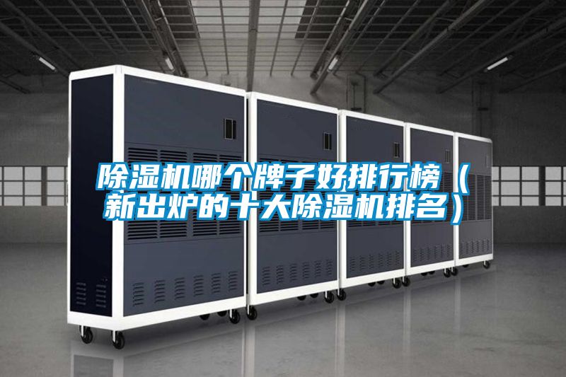 除濕機哪個牌子好排行榜(新出爐的十大除濕機排名)