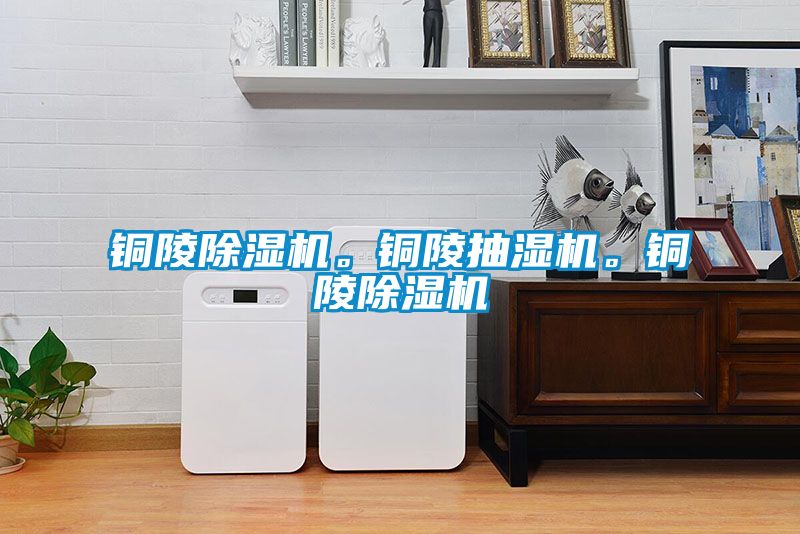 銅陵除濕機(jī)。銅陵抽濕機(jī)。銅陵除濕機(jī)