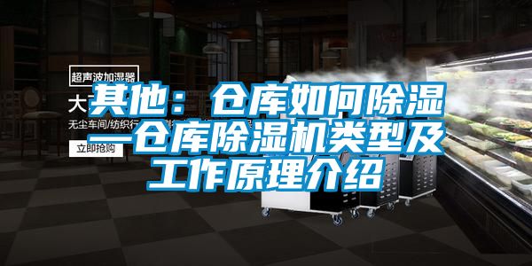 其他:倉庫如何除濕—倉庫除濕機類型及工作原理介紹