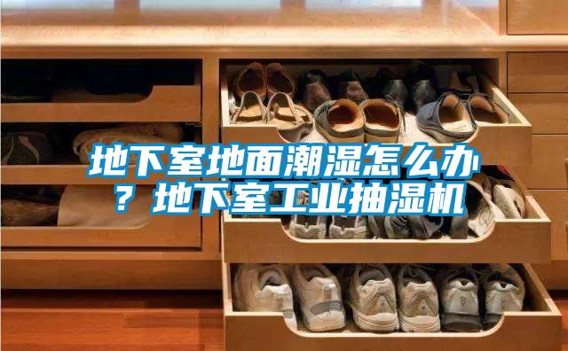地下室地面潮濕怎么辦？地下室工業抽濕機