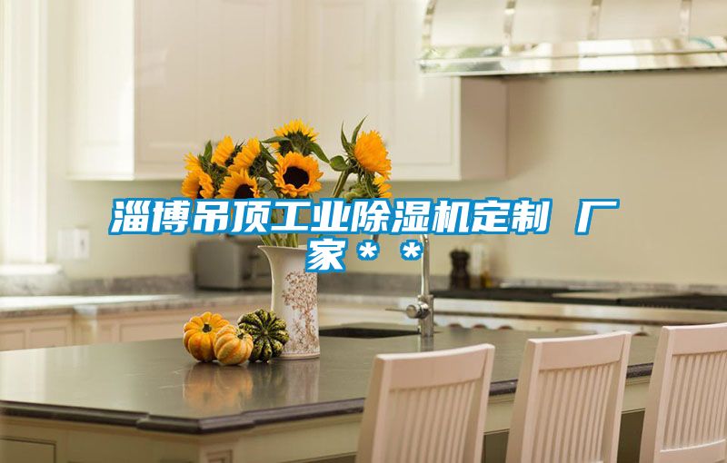 淄博吊頂工業(yè)除濕機(jī)定制 廠家**
