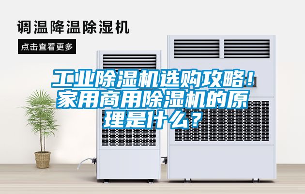 工業除濕機選購攻略！家用商用除濕機的原理是什么？