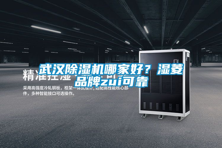 武漢除濕機哪家好？濕菱品牌zui可靠