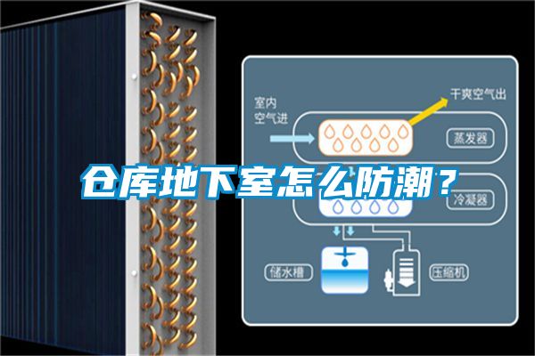 倉庫地下室怎么防潮?