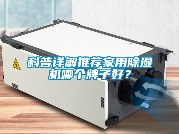 科普詳解推薦家用除濕機哪個牌子好？