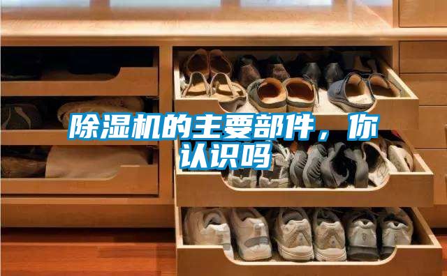 除濕機(jī)的主要部件，你認(rèn)識嗎