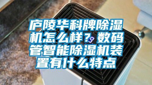 廬陵華科牌除濕機怎么樣？數碼管智能除濕機裝置有什么特點