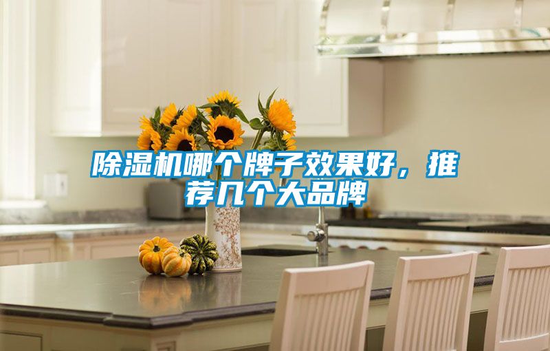 除濕機(jī)哪個(gè)牌子效果好，推薦幾個(gè)大品牌