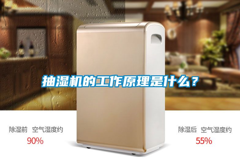 抽濕機的工作原理是什么?